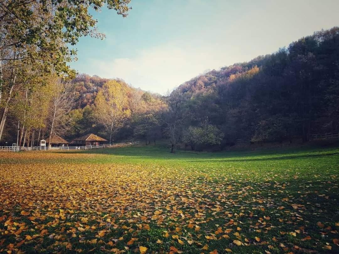 Apartamento Poljoprivredno Turisticko Domacinstvo Deguric Valjevo Exterior foto